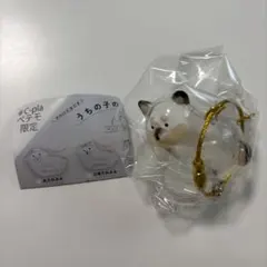 【正規品】うちの子のけだまだま　ペテモ限定犬カプセルトイ