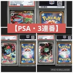 【PSA10・3連番】 フシギダネ 進化ライン