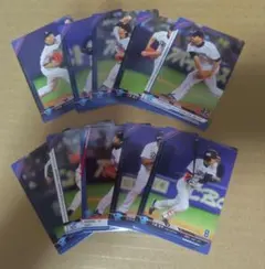 M 이른 승리 Chunichi Dragons 베이스볼 영웅 2013