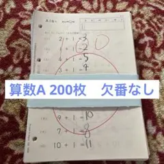 m66339844357_1.jpg?1770525506