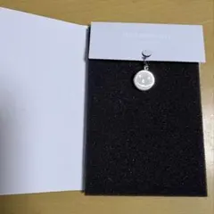 SEVENTEEN 6th anniversary チャーム ウジ