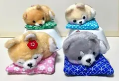 未使用【全４種コンプリートセット】豆しば三兄弟 お座布でまったり LMC