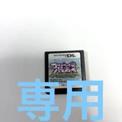 専用DSソフト コスメちっくパラダイス