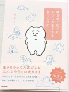 毎日ほどほどにどうにか生きてるねこの日記