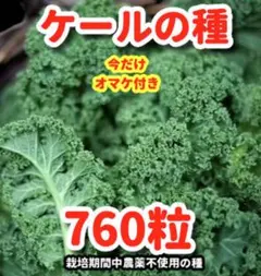 ゆう⭐︎即購入OK⭐︎様 リクエスト 2点 まとめ商品