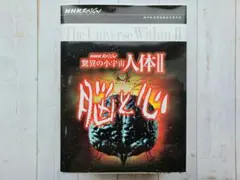 NHKスペシャル 驚異の小宇宙 人体 DVD BOX〈6枚組〉 - メルカリ
