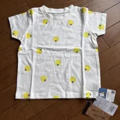 【新品】インセクトコレクション　半袖Tシャツ　発光ホタルTシャツ　オーガニックのサムネイル