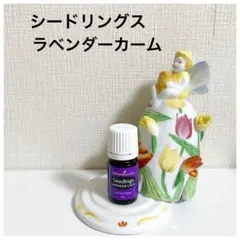 ⭐︎新品未開封⭐︎ヤングリビング　シードリングス　ラベンダーカーム5MLブレンドのサムネイル