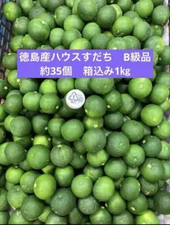 ハウス大玉スダチ 家庭用 約1キロ - メルカリ