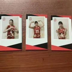 バレともステッカー　日本代表女子セット