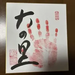 2026年最新】相撲手形の人気アイテム - メルカリ