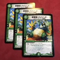 デュエマ　獣軍隊パインJr. 3枚
