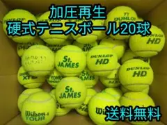 Item thumbnail for item aa9bbdd7-6eac-41c9-8218-402e42d7951e