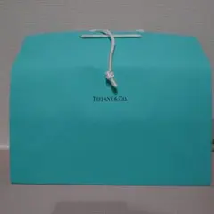 Tiffany& Co. ティファニー 紙袋(ショッパー) 大小5枚セット