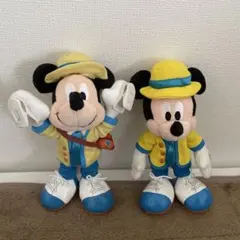 ディズニー ミッキーマウス ぬいぐるみ バッチ バケーションパッケージ