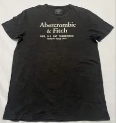 Abercrombie & Fitch Tシャツ ブラック M