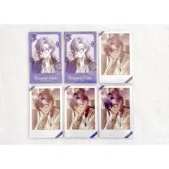 Twinkle Gifts ミラン・ケストレル チェキ風カード まとめ売り