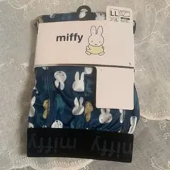 Item thumbnail for item b0f8c4b4-5c0b-43a3-a759-e3554ea6b0a0