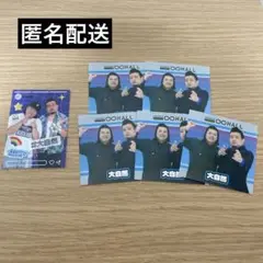 大自然　ムゲンダイレギュラーステッカー2024 サマーオータムキャンペーン
