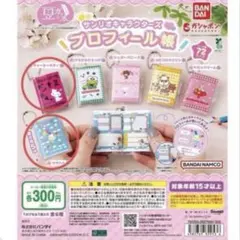 【新品・未開封品】サンリオキャラクターズ　プロフィール帳　キティ　ウサハナ