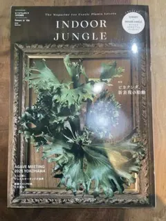 INDOOR　JUNGLE 06ビカクシダの胎動