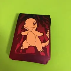 海外ヒトカゲスリーブ