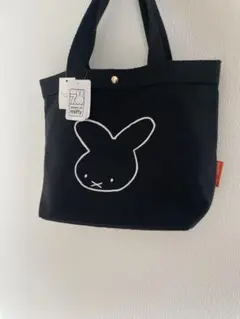 Item thumbnail for item 263be074-2b27-4ad7-883c-f65991ce0924