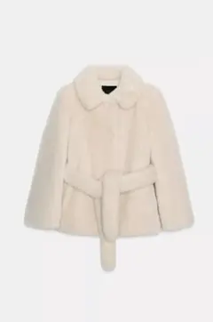 Item thumbnail for item 9901184b-90ec-443b-a24b-339318493520