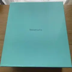 【TIFFANY&Co.】ティファニー 空箱　－1