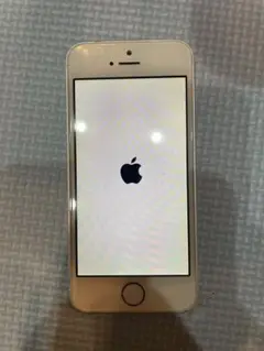 Apple iPhone 5S