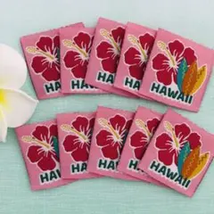 楽一番公式アカウント01様専用ページ ハイビスカス刺繍ワッペン 10枚セット