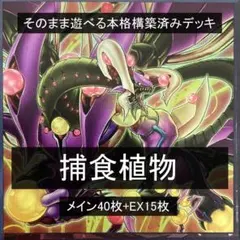 大会優勝構築 白き森 アザミナ デッキ 本格構築 遊戯王 - メルカリ