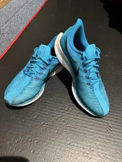 Nike ZoomX ペガサスターボ 26.5cm
