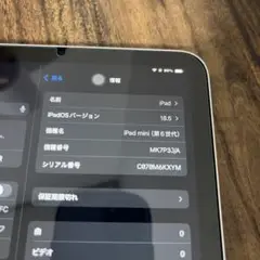 ipad 本体