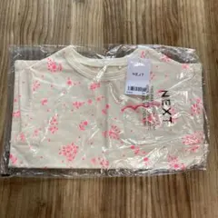 Item thumbnail for item 54466bf4-03f6-45e0-b3c7-7891118fc738