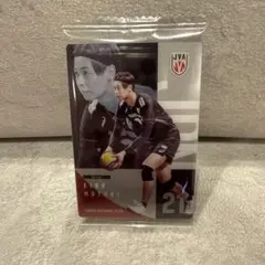 永露元稀 男子日本代表 バレーボール ツインウエハース