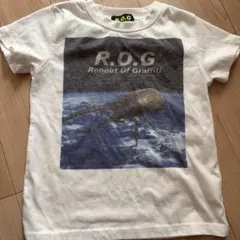 リブート ROG ヘラクレスオオカブト