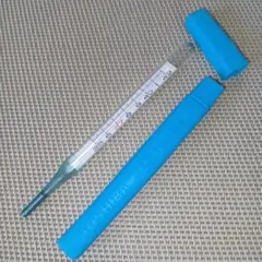 2026年最新】水銀体温計の人気アイテム - メルカリ