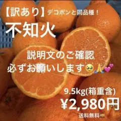 お買得 大容量 不知火 デコポン 約9.5kg ジュース ジャム 送料無料のサムネイル