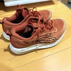 Item thumbnail for item 06c7e8b3-6819-4ced-96d3-c275cd633ace