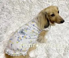 No.7246　青バラの刺繍レース　バルーンワンピース　ブルー　＜ダックス用＞