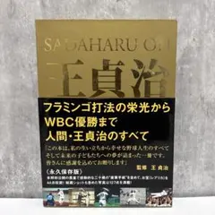 Item thumbnail for item 2b779223-843b-44d3-b578-47656ba86f01