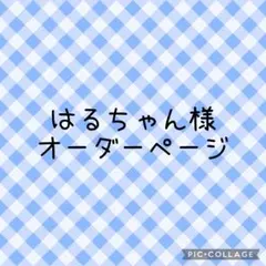はるちゃん様 オーダーページ