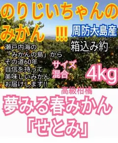 夢みる春みかん「せとみ」ラスト①サイズ混合 家庭用（訳あり含）箱込み４kgのサムネイル