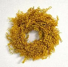 【ドライ】シンプル ミモザリース　銀葉アカシア　ドライスワッグおまけ付き