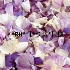 *Rii*【*りぃ*】様 リクエスト 3点 まとめ商品