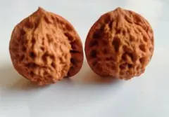 伝統的文玩核桃 官帽型の手球べア