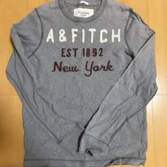 Abercrombie & Fitch 長袖カットソー グレーのサムネイル