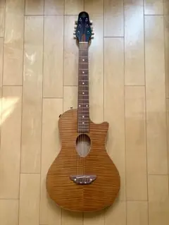 2025年最新】ESP BambooInnの人気アイテム - メルカリ