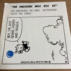 THE LINKS NOT REBOUND ENDEAVORS split